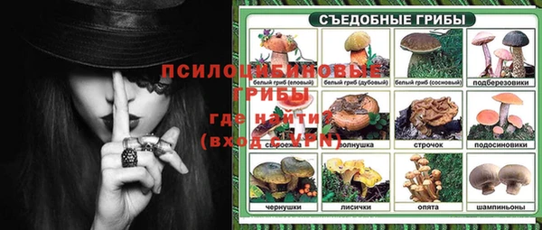 ешки Армянск