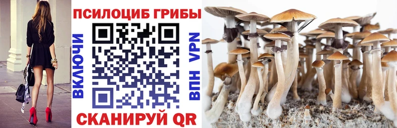 цена наркотик  Балтийск  Галлюциногенные грибы Cubensis 